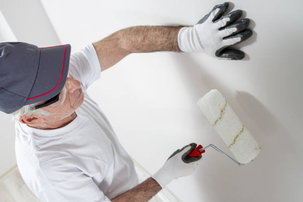 Professional Mold Removal in Charleston, SC