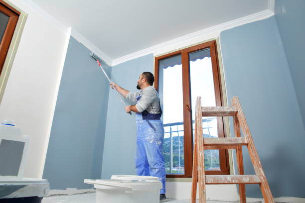Best Mold Odor Removal Services  in Charleston, SC