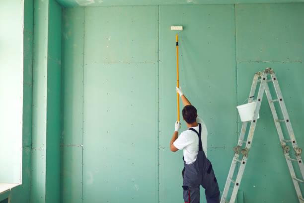 Mold Documentation for Insurance Claims in Charleston, SC