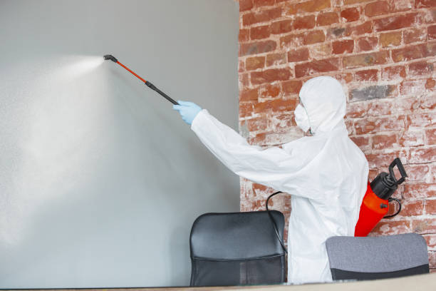 Best Post-Construction Mold Inspection  in Charleston, SC