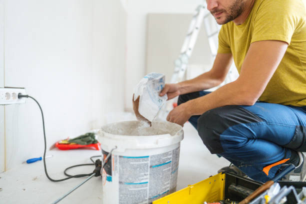 Best Black Mold Removal  in Charleston, SC