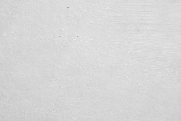 Best Mold Removal for HVAC Installations  in Charleston, SC