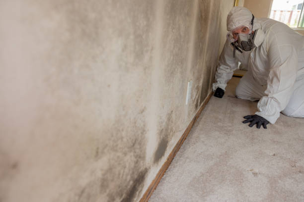 Best Mold Prevention Services  in Charleston, SC